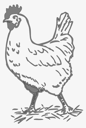 Svg Freeuse Library Gray Hen Clip Art At Clker Com - Black And White Chicken Clip Art