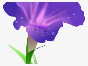 Morning Glory Clipart Mogra - Morning Glory Png