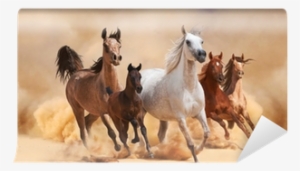 Painel Lona Festa 1,80x1,20mt Cavalos No Deserto