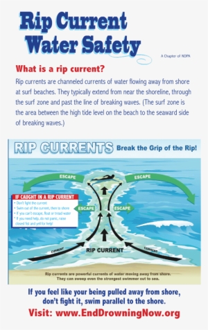 Edn Watersafetybooklet 05 16 Aquarium Page - Rehoboth Beach