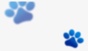 Head Paws Trans - Portable Network Graphics