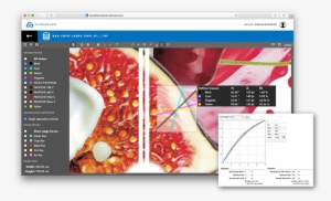 Fast, Multi-threaded Host Renderer
