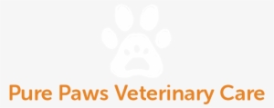 Visit Pure Paws Veterinary Care For The Finest Veterinary - Rock And Wok