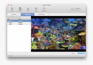 Choose Dvd Content To Rip - Ripping