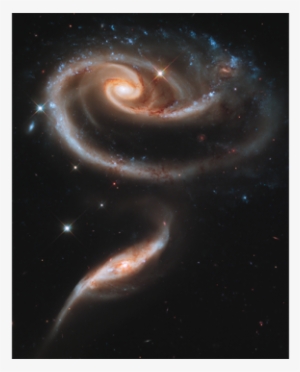 A "rose" Made Of Galaxies - Arp 273
