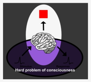 Hard Problem Of Consciousness - Problems With Studying Consciousness