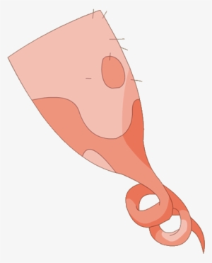 Cork Cloak - Illustration