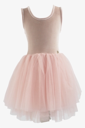 Dolly By Le Petit Tom Velvet Essential Tutu Dress Ballet - Ballet Dress Transparent