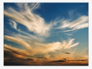 Wisp - Photographer