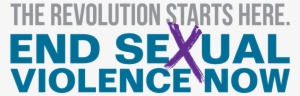 Sexual Violence Awareness Graphic - End Sexual Violence Now