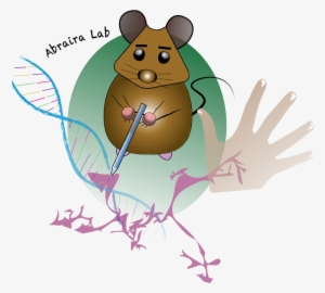 Our Lab Operates Within The W - Illustration