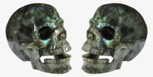 Skull Isolated Skull And Crossbones - Stock.xchng