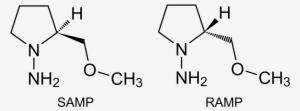 L Arginine Methyl Ester
