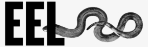 Eel Logo Large