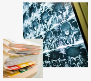 Researchers & Medical Institutions - University Of Southern California