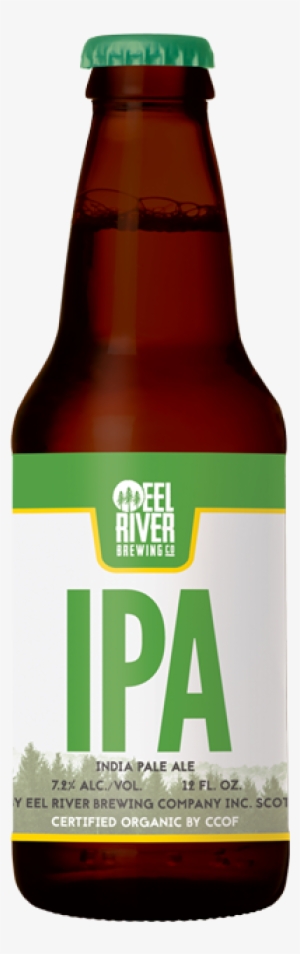 Organic Ipa - India Pale Ale