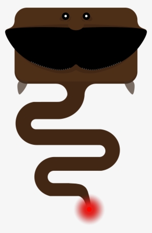 Animalgulper Eel - Gulper Animals