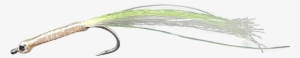 Bay Pipefish
