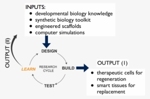 On Another Level, The Mission Of The Lab Is Training - Laboratory