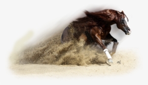 Horse Transparent Western - Western Horse Png