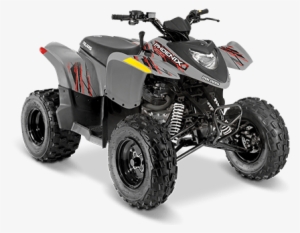 Phoenix - 2018 Polaris Phoenix 200