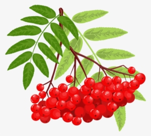 Похожее Изображение Clip Art, Cookies, Strawberry, - Рябина Png