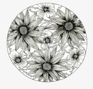 Kasmira Demyan - Line Art