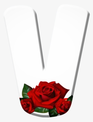 Blindada Por Deus - Ecoplanet Aromatherapy Massage Oil Relaxing