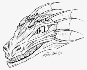 Vector Free Library Collection Of Lizard Head High - Dragon Lizard Drawing