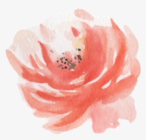 Pink Watercolor Hand Painted Flowers Transparent - Watercolor Painting