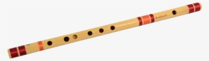 Student Video - Flute In India