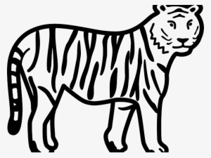 White Tiger Clipart Panda - Tiger Images Black And White