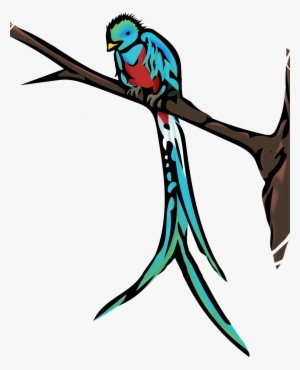 Quetzal - Guatemala Cliparts