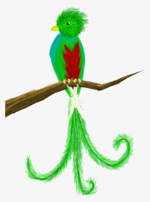 Quetzal - Quetzal Clipart Png