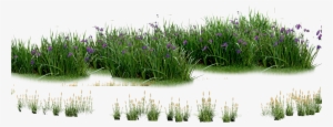 Landscaping Computer File Plants - Plants Flowers Png