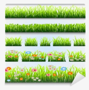 Vector Graphics