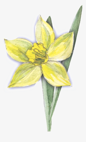 Moisture Yellow Flower Transparent Decorative - Yellow