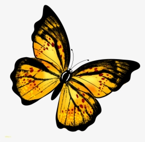 Monarch Butterfly Clipart Hindu God