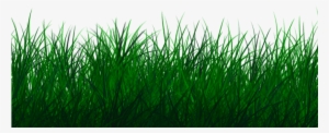 Picsart Editing Grass Png - Grass Png Seamless