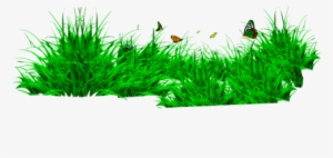 Grass Png - Png Format Grass Png Hd