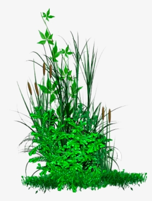 Picsart Editing Png Picsart Hd Png Picsart All Editing - Florido Arbustos Em Png