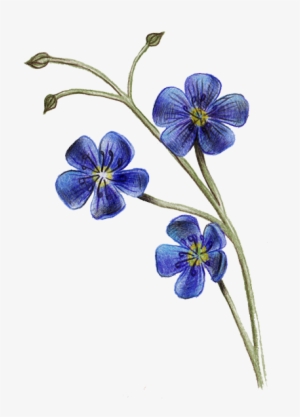 Wild Flowers Png Download - Png Wild Flowers Png
