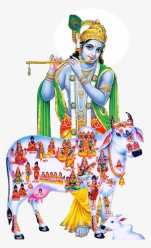 Donate - Kamdhenu Cow