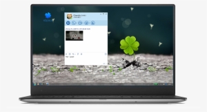 Desktop Client