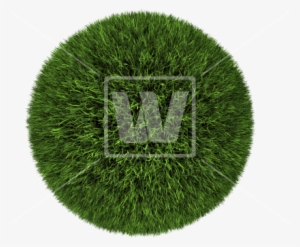 Grass Ball - Glassy Globe - Portable Network Graphics