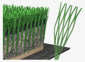 Classic Hd - Vertex Prime