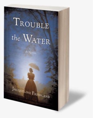 Trouble The Water By Jacqueline Friedland - Trouble The Water [book]