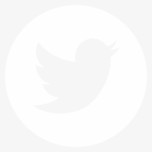 Twitter White Circle 1 - Skin Alis Io Transparent