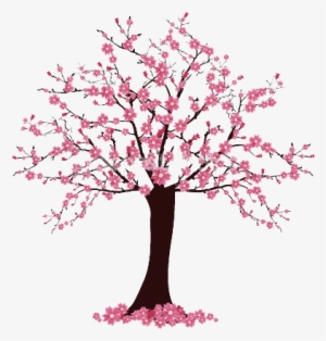 Simple Cherry Blossom Tree Drawing