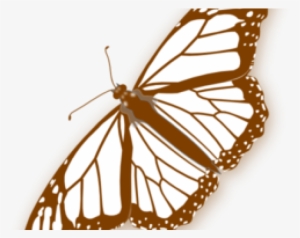 Monarch Butterfly Clipart Png Full Hd - Monarch Butterfly Chrysalis Coloring